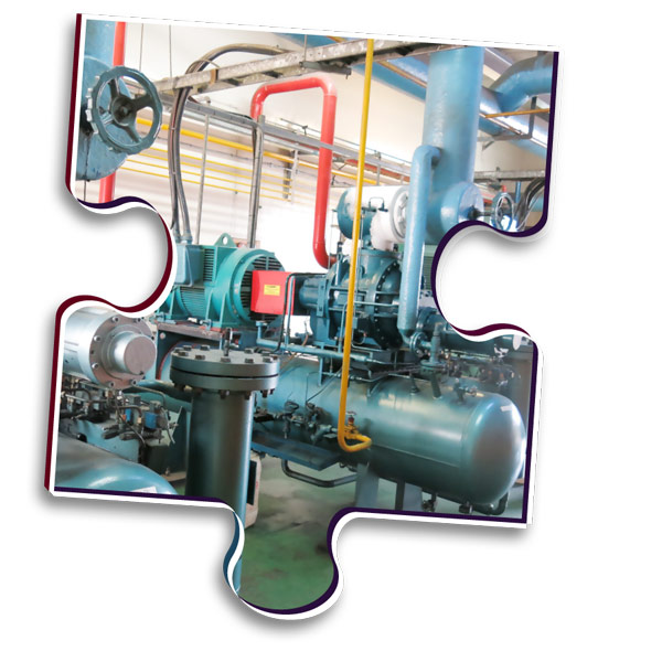 Operational Plant Procedures Safety Assessment